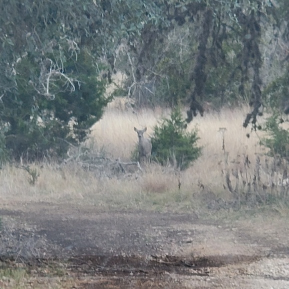 Meet your Posher, David - Picture 1 of 1